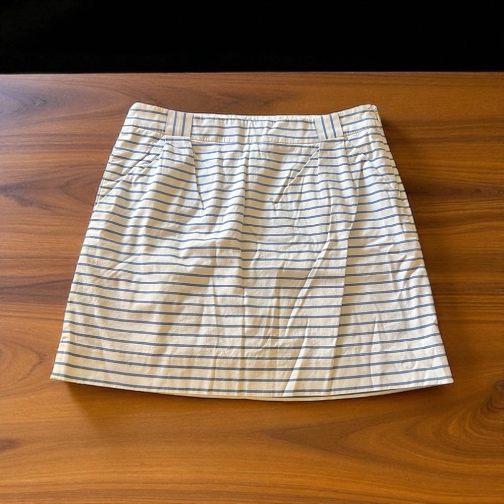 Striped White and Blue Women's Skirt